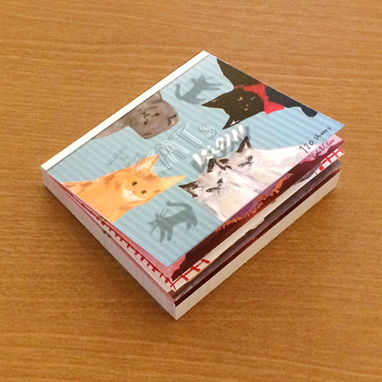 �֥��å���⡡CAT's view