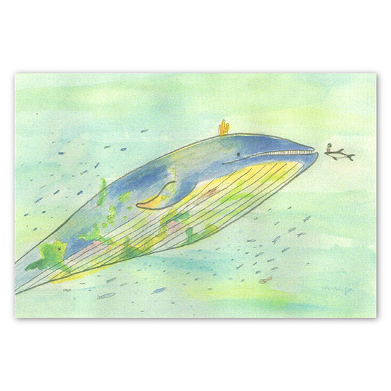 Post card mariya クジラの王様